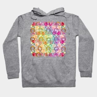 Pattern. Roses, Gold Horseshoes and Rainbow Hoodie